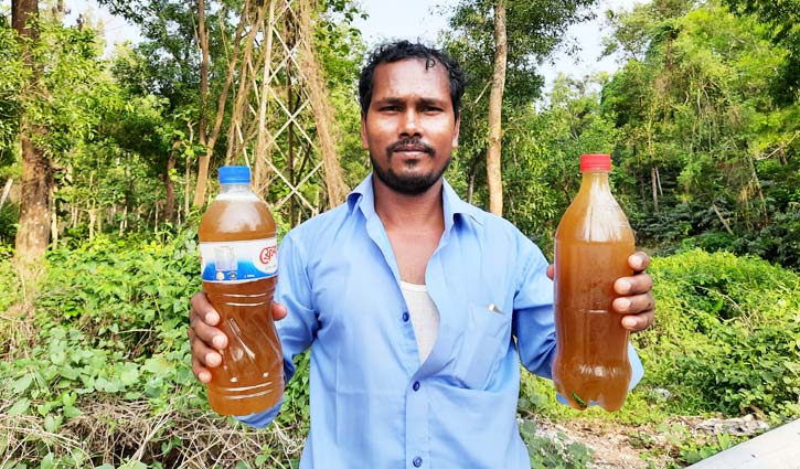 খাঁটি মধুতে রুবেলের জীবিকা খাঁটি মধুতে রুবেলের জীবিকা