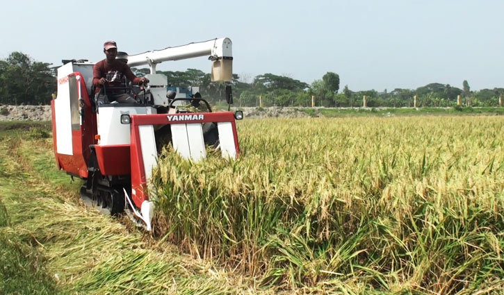 কম্বাইন হারভেস্টারে ধান কাটতে পেরে খুশি কৃষকেরা কম্বাইন হারভেস্টারে ধান কাটতে পেরে খুশি কৃষকেরা