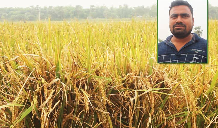 মেয়ের নামে ধান, বীজ বিক্রি ৫ লাখ টাকা 