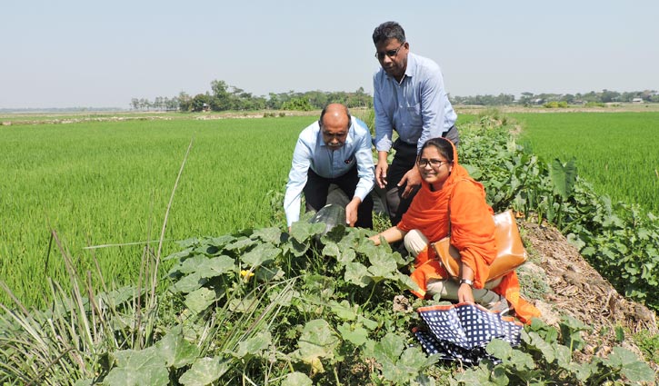 আঙিনায় সবজি চাষে বছরে আড়াই লাখ টাকা আয় 