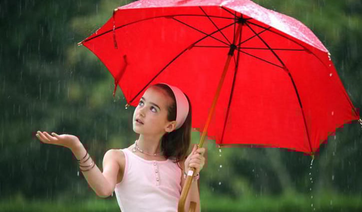 ভালো ছাতা কীভাবে চিনবেন ভালো ছাতা কীভাবে চিনবেন