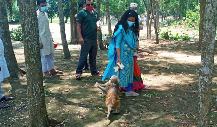 ২০০ অনাহারি বানরকে খাবার দিলেন ইউএনও ২০০ অনাহারি বানরকে খাবার দিলেন ইউএনও