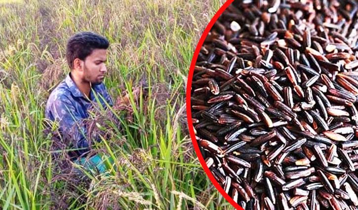 ‘ব্ল্যাক হিরো’ খ্যাত একজন আরিফের গল্প ‘ব্ল্যাক হিরো’ খ্যাত একজন আরিফের গল্প