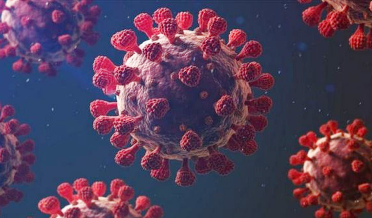 বগুড়ায় আরও ৪ জনের মৃত্যু, নতুন শনাক্ত ১০১