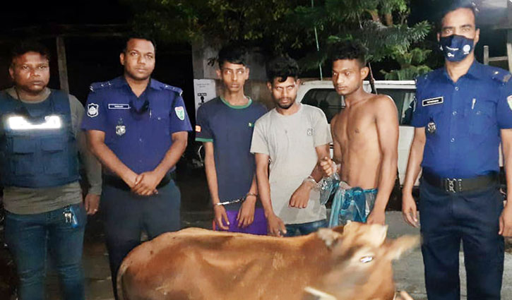 শায়েস্তাগঞ্জে ৩ গরু চোর আটক শায়েস্তাগঞ্জে ৩ গরু চোর আটক