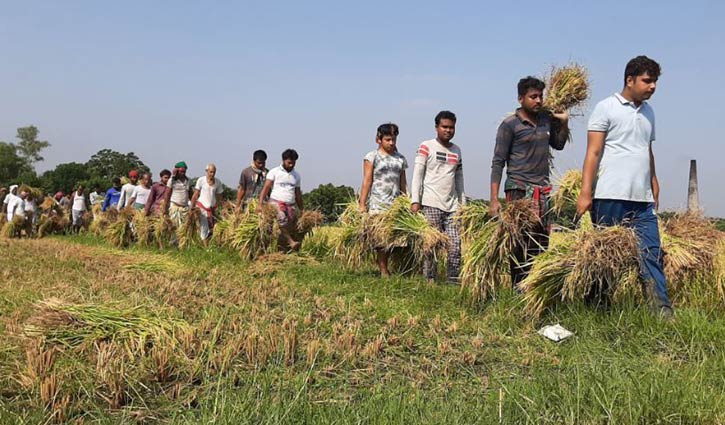 ঠাকুর অনুকুলচন্দ্র সৎসঙ্গে ধান কাটা উৎসব ঠাকুর অনুকুলচন্দ্র সৎসঙ্গে ধান কাটা উৎসব