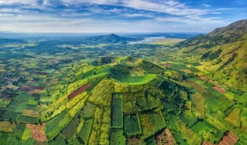 ভিয়েতনামে পাহাড়ের কোলে সবুজ ঢেউ