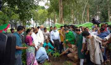 হাজার হাজার গাছ কেটেছিলেন জিয়া: তথ্যমন্ত্রী হাজার হাজার গাছ কেটেছিলেন জিয়া: তথ্যমন্ত্রী