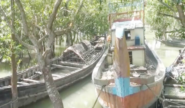 সুন্দরবন থেকে ৮ নৌকা জব্দ সুন্দরবন থেকে ৮ নৌকা জব্দ