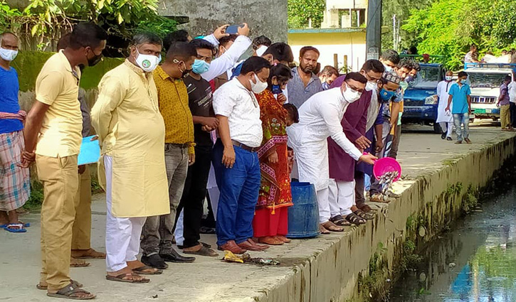 মশক নিধনে ব্যাঙের পর এবার মাছ অবমুক্ত! মশক নিধনে ব্যাঙের পর এবার মাছ অবমুক্ত!