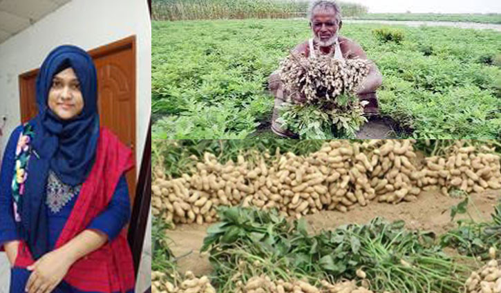 টাঙ্গাইলের চীনাবাদাম প্রচারণায় ই-কমার্সই উপযোগী মাধ্যম টাঙ্গাইলের চীনাবাদাম প্রচারণায় ই-কমার্সই উপযোগী মাধ্যম