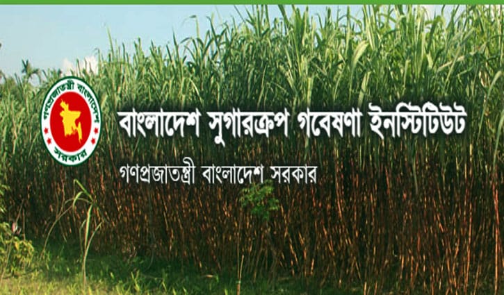 বাংলাদেশ সুগারক্রপ গবেষণা ইনস্টিটিউটে চাকরির সুযোগ বাংলাদেশ সুগারক্রপ গবেষণা ইনস্টিটিউটে চাকরির সুযোগ