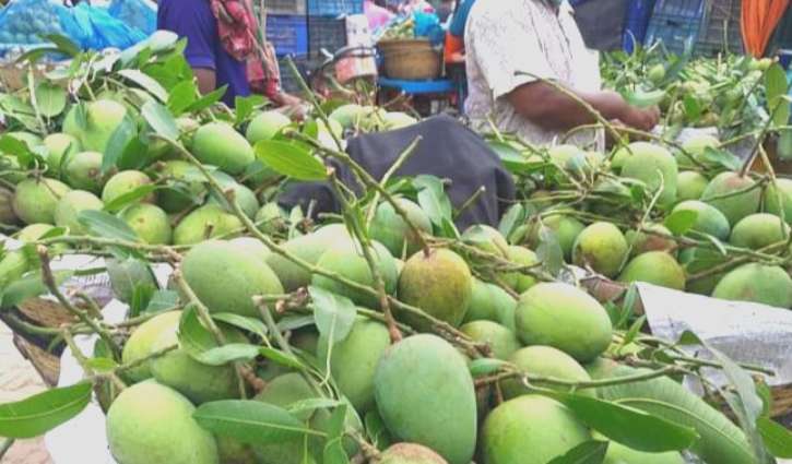 আমের দরপতনে চাঁপাইয়ে ৫শ কোটি টাকা ঘাটতির শঙ্কা
