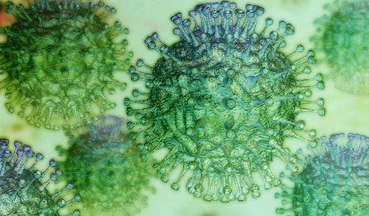 করোনার ‘ভিয়েতনাম ভ্যারিয়েন্ট’ সম্পর্কে যা জানা গেছে