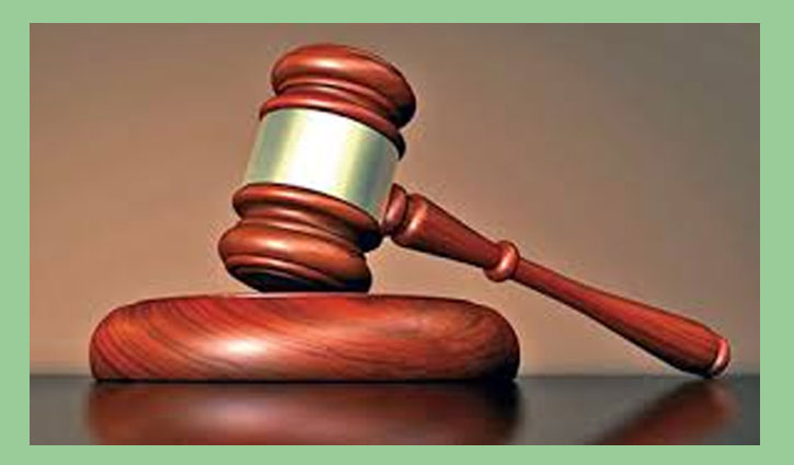 এরফান সেলিমের মামলায় বাদীকে হাজিরের নির্দেশ