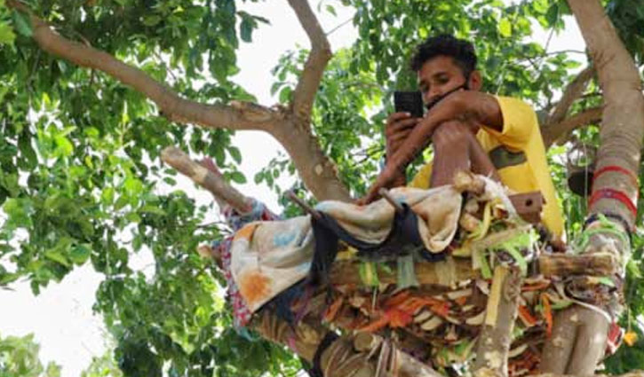 কোভিড আক্রান্ত যুবকের গাছে আইসোলেশন