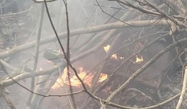 Fire breaks out again in Sundarbans Fire breaks out again in Sundarbans