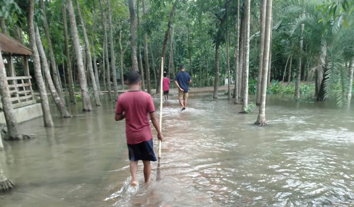 বিষখালীর বাঁধ ভেঙে ২০ গ্রাম প্লাবিত বিষখালীর বাঁধ ভেঙে ২০ গ্রাম প্লাবিত