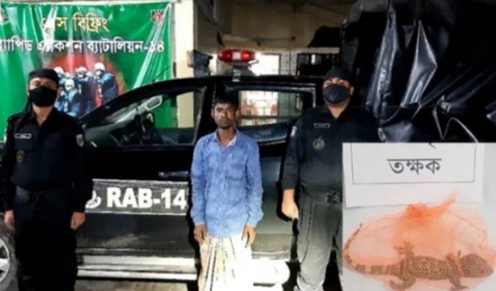 ৩০ লাখ টাকা দামের তক্ষকসহ আটক ১ ৩০ লাখ টাকা দামের তক্ষকসহ আটক ১