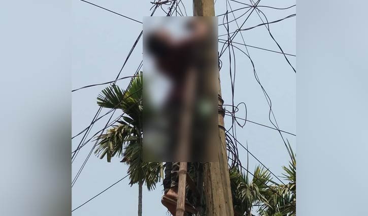 আটঘরিয়ায় বিদ্যুৎস্পৃষ্ট হয়ে ইলেকট্রিশিয়ানের মৃত্যু আটঘরিয়ায় বিদ্যুৎস্পৃষ্ট হয়ে ইলেকট্রিশিয়ানের মৃত্যু