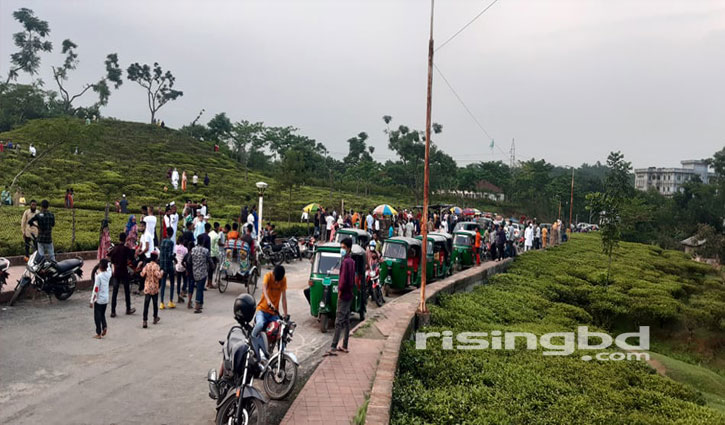 চা বাগানে দর্শনার্থীদের ঢল চা বাগানে দর্শনার্থীদের ঢল