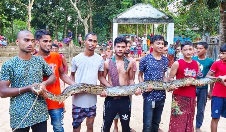 পুকুর থেকে অজগর উদ্ধার, ইকোপার্কে অবমুক্ত