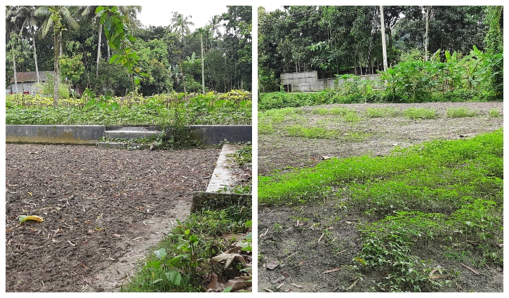 স্কুলঘর বিক্রি করে ঋণ পরিশোধ স্কুলঘর বিক্রি করে ঋণ পরিশোধ