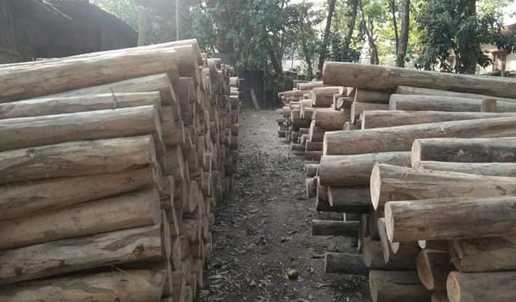 ১০ মাসে ২ কোটি টাকার কাঠ জব্দ