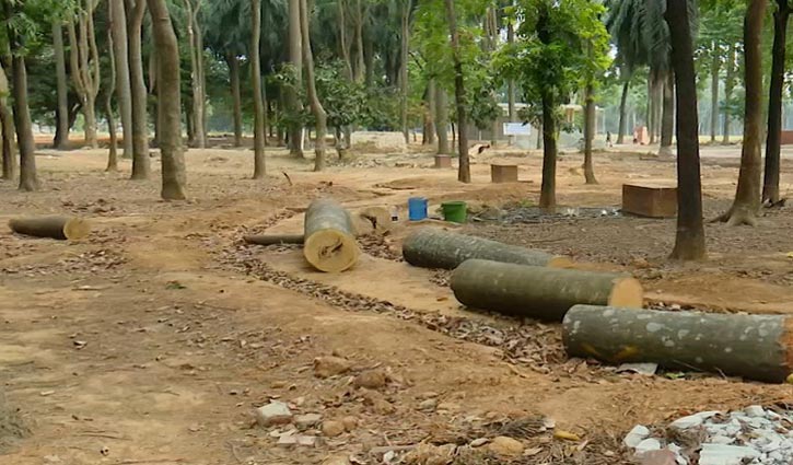 সোহরাওয়ার্দীর গাছ কাটার বিষয়ে আদেশ আজ