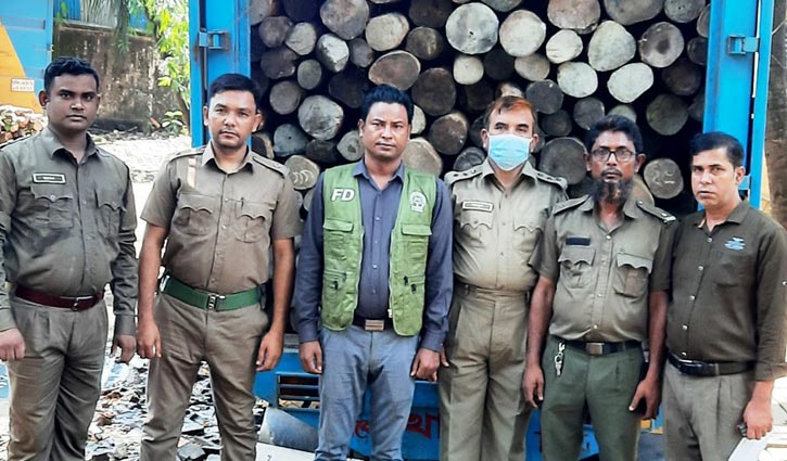 পাচারকালে বিপুল পরিমাণ অবৈধ কাঠ জব্দ পাচারকালে বিপুল পরিমাণ অবৈধ কাঠ জব্দ