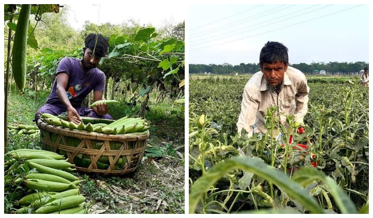 ক্ষেতে সবুজ হাসি কিন্তু কৃষকের মুখ ম্লান ক্ষেতে সবুজ হাসি কিন্তু কৃষকের মুখ ম্লান