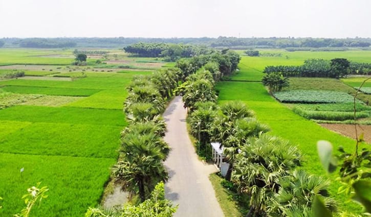 ছবির নেশায় গাছের মাথায় 