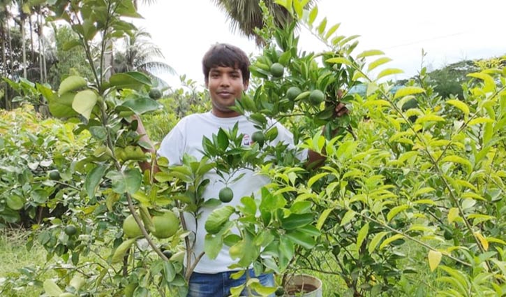 সোহানের সংগ্রহে ৩০০ প্রজাতির গাছ সোহানের সংগ্রহে ৩০০ প্রজাতির গাছ
