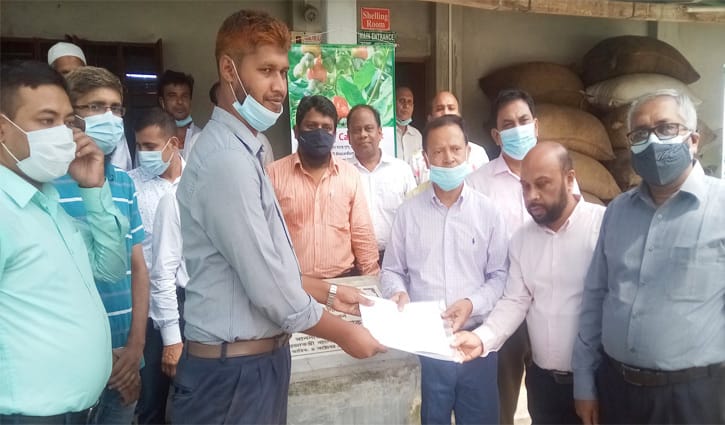 নীলফামারীর কাজু বাদাম যাচ্ছে আমেরিকার বাজারে নীলফামারীর কাজু বাদাম যাচ্ছে আমেরিকার বাজারে