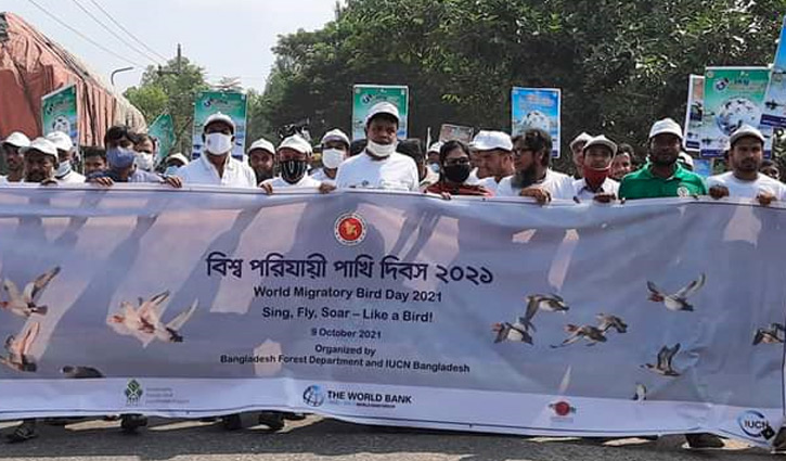 সিংড়ায় বিশ্ব পরিযায়ী পাখি দিবস পালিত সিংড়ায় বিশ্ব পরিযায়ী পাখি দিবস পালিত