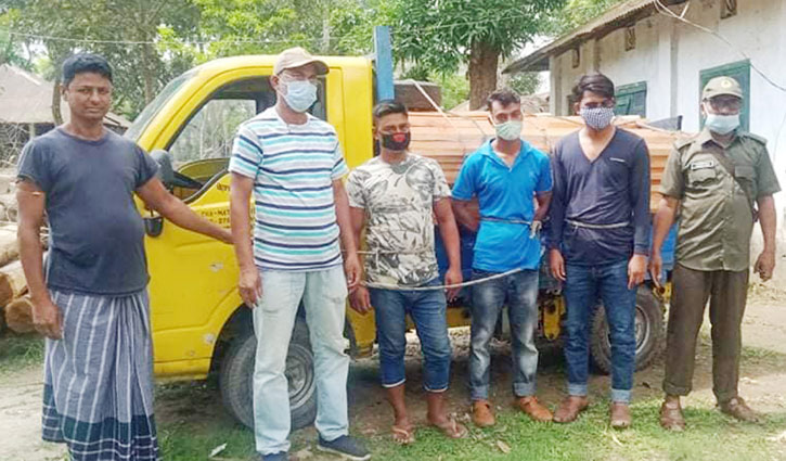 ৮ মাসের অভিযানে বনবিভাগের কোটি টাকা লাভ ৮ মাসের অভিযানে বনবিভাগের কোটি টাকা লাভ