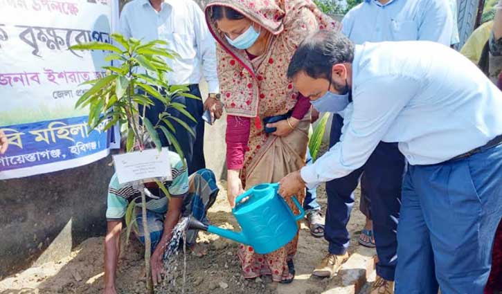 শায়েস্তাগঞ্জে শিক্ষাপ্রতিষ্ঠানে বৃক্ষরোপণ শায়েস্তাগঞ্জে শিক্ষাপ্রতিষ্ঠানে বৃক্ষরোপণ