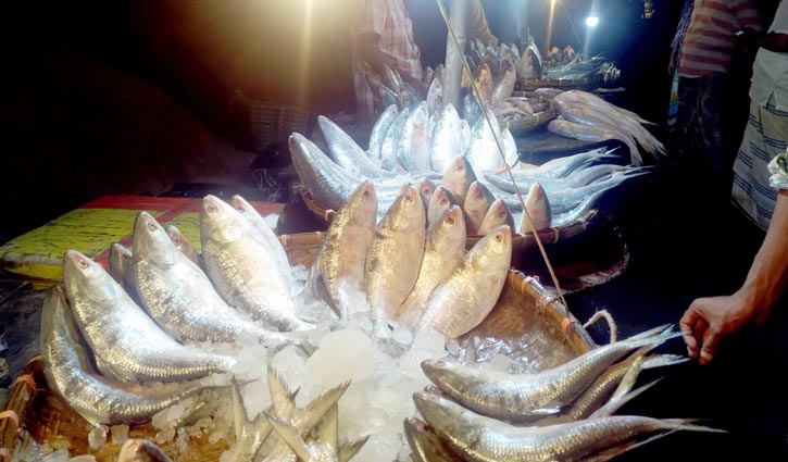 ভরা মৌসুমেও ইলিশের দাম চড়া ভরা মৌসুমেও ইলিশের দাম চড়া