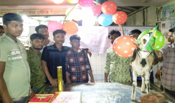 ব্যতিক্রম আয়োজনে ছাগলের জন্মদিন পালন ব্যতিক্রম আয়োজনে ছাগলের জন্মদিন পালন