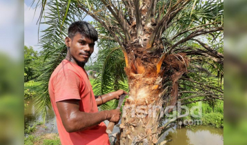 শীত আছে খেজুর রস নেই