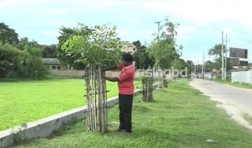 নিজের টাকায় পথে পথে গাছ লাগান আনোয়ার