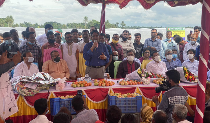 আমদানি কমিয়ে রপ্তানিমুখী হচ্ছে কৃষি: কৃষিমন্ত্রী আমদানি কমিয়ে রপ্তানিমুখী হচ্ছে কৃষি: কৃষিমন্ত্রী