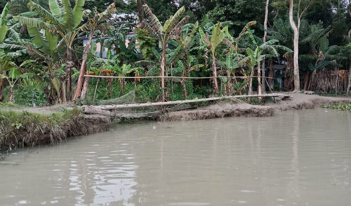ঝালকাঠির বাসন্ডা খালের ভাঙনে মানুষের ভোগান্তি ঝালকাঠির বাসন্ডা খালের ভাঙনে মানুষের ভোগান্তি