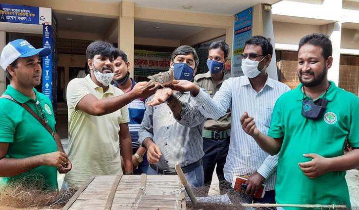 মুক্ত আকাশ পেলো ৭টি পাখি মুক্ত আকাশ পেলো ৭টি পাখি