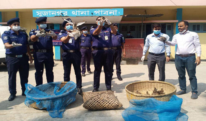 আকাশে উড়লো ২০০ পাখি; ৩ শিকারীর জরিমানা আকাশে উড়লো ২০০ পাখি; ৩ শিকারীর জরিমানা