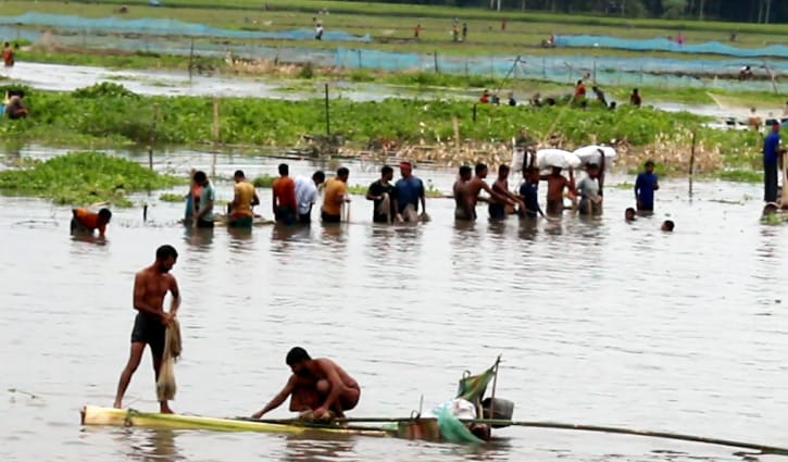 ঠাকুরগাঁওয়ে বুড়ির বাঁধে মাছধরার উৎসব ঠাকুরগাঁওয়ে বুড়ির বাঁধে মাছধরার উৎসব