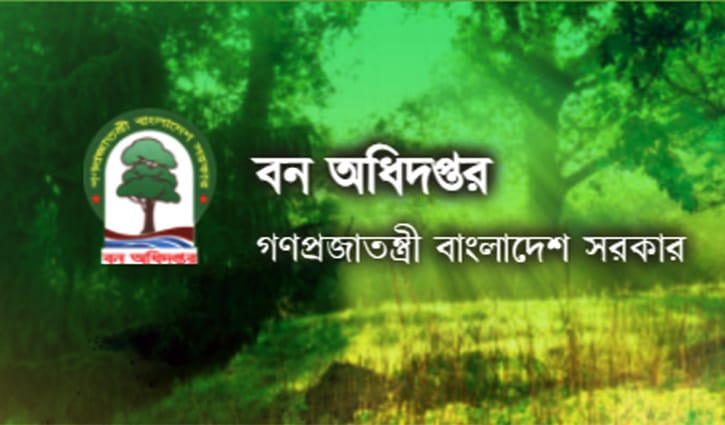 এসএসসি ও এইচএসসি পাসে চাকরি দিচ্ছে বন অধিদপ্তর এসএসসি ও এইচএসসি পাসে চাকরি দিচ্ছে বন অধিদপ্তর