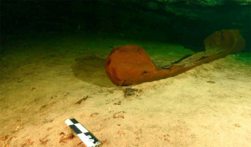 Ancient wooden Mayan canoe unearthed in Mexico
