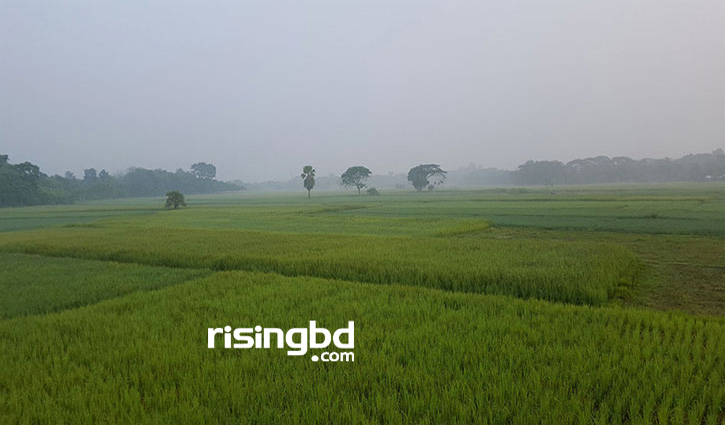 হেমন্তকে স্বাগত হেমন্তকে স্বাগত