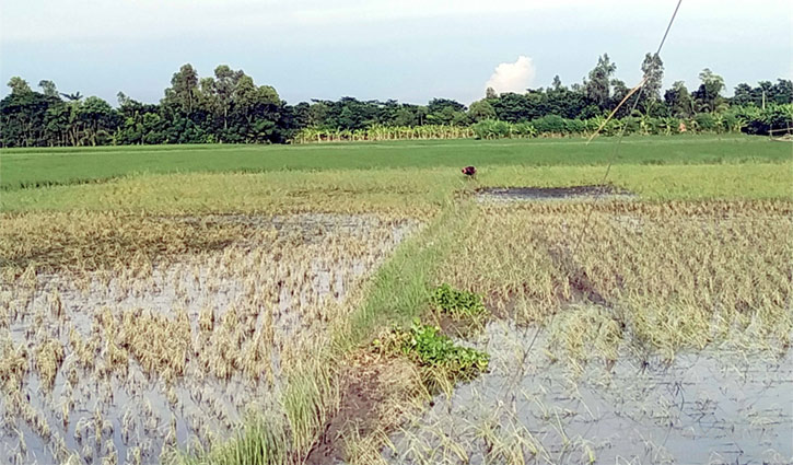 জোয়ারের পানিতে ভেসে গেছে স্বপ্ন তাদের